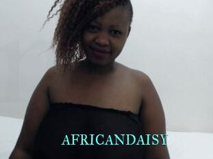 AFRICANDAISY