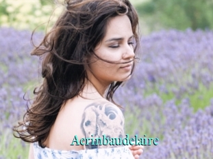 Aerinbaudelaire