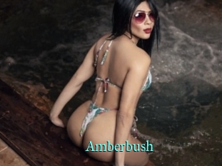 Amberbush