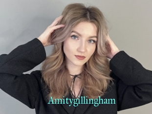Amitygillingham