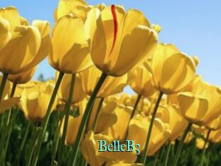 BelleB3