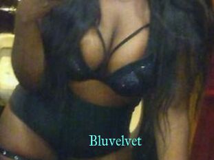 Bluvelvet