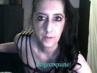 Belgecoquine