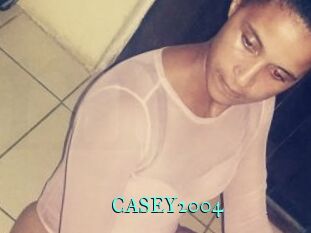 CASEY2004