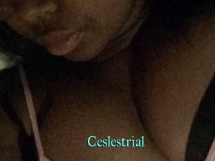 Ceslestrial