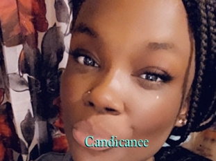Candicanee