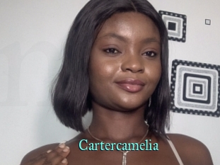 Cartercamelia
