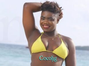Cocoljg