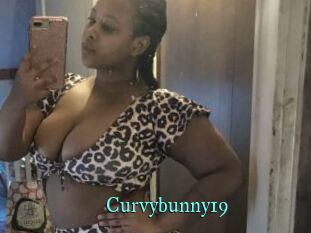 Curvybunny19