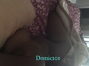 Domic101