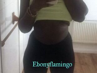 Ebony_flamingo