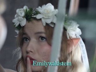 Emilywaldstein