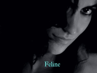 Feline