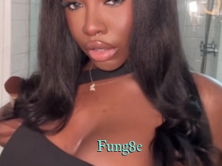 Fung8e