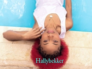 Hallybekker