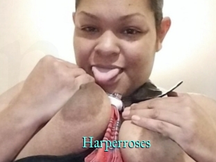 Harperroses
