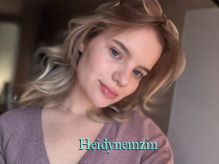 Heidynemzin