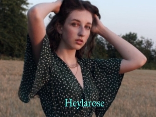 Heylarose
