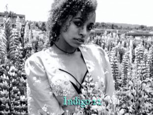 Indigo_22