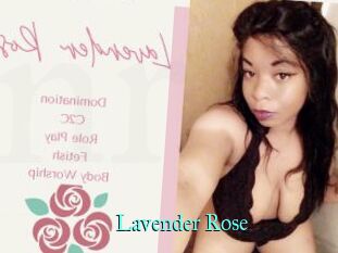 Lavender_Rose
