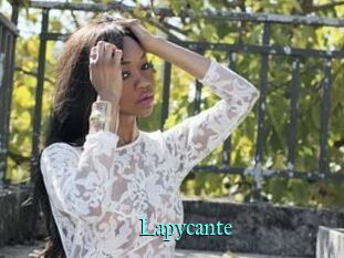 Lapycante