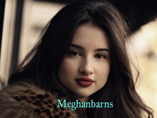 Meghanbarns