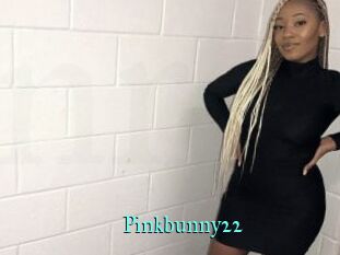 Pinkbunny22