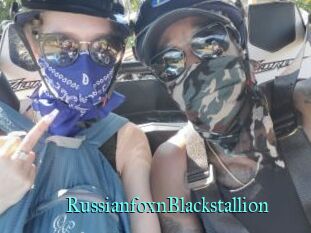 RussianfoxnBlackstallion