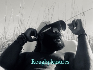 Roughpleasures