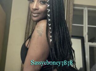 Sassyeboney3838