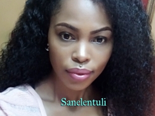 Sanelentuli