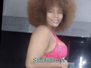 Shantallmays