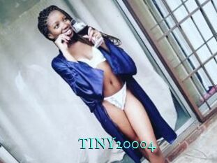 TINY20004