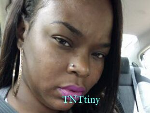 T_N_Ttiny