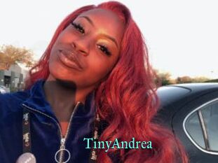 TinyAndrea