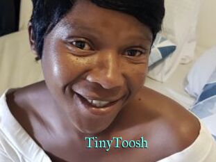 TinyToosh