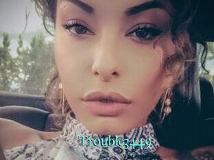 Trouble3449