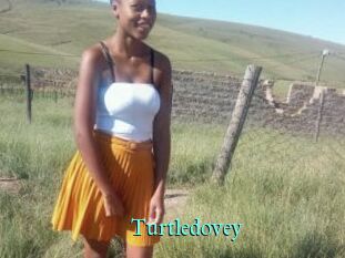 Turtledovey
