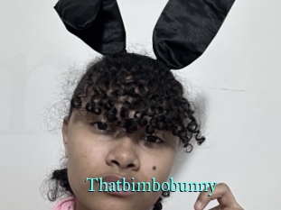 Thatbimbobunny