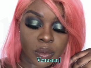 VenusianJ