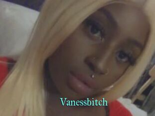 Vanessbitch