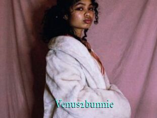 Venus2bunnie
