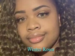 Winter_Rosea