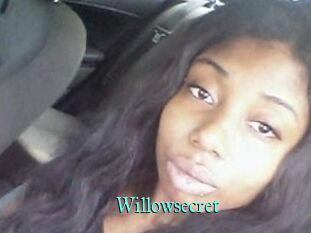 Willow_secret