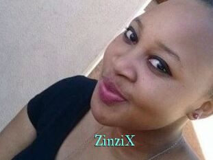ZinziX